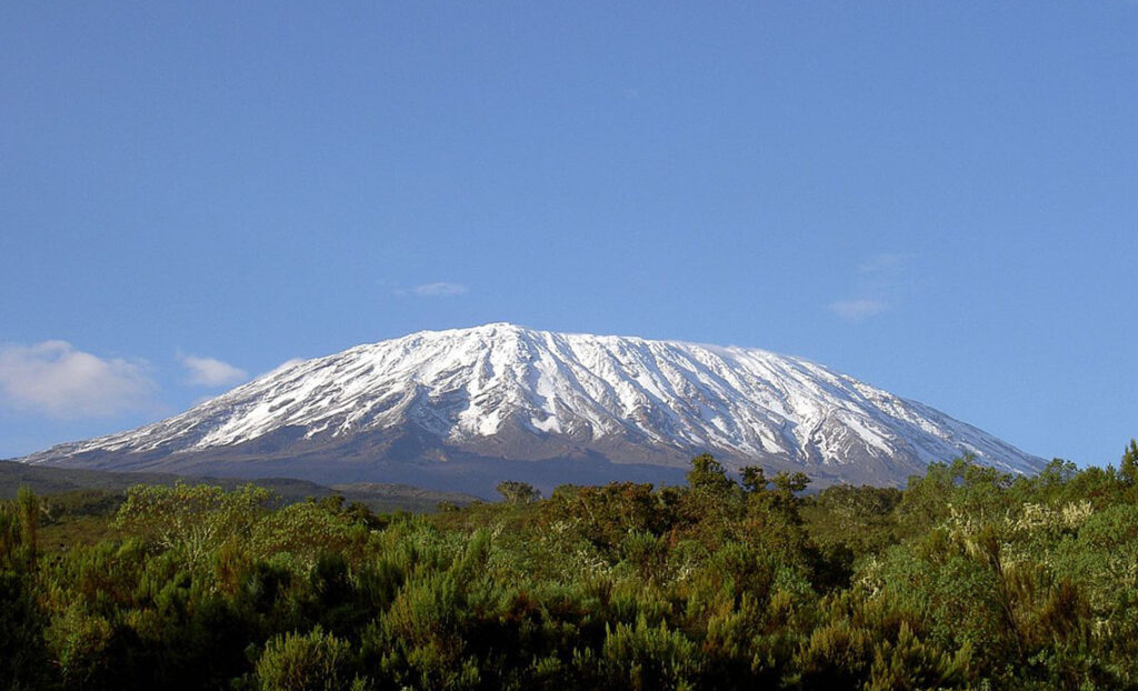 kilimanjaro